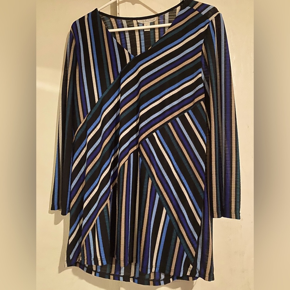 Dana Buchman Striped Mutlicolor Tunic